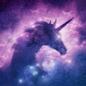 Meet your Posher, Mickendsey